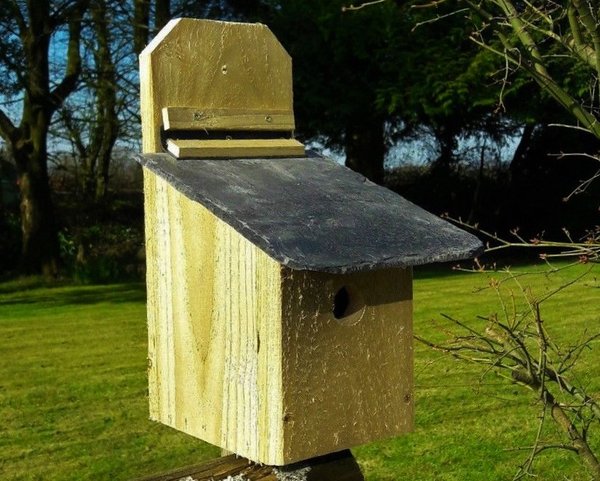 Nesting Box for Wrens and small wild bird with lift-up slate roof